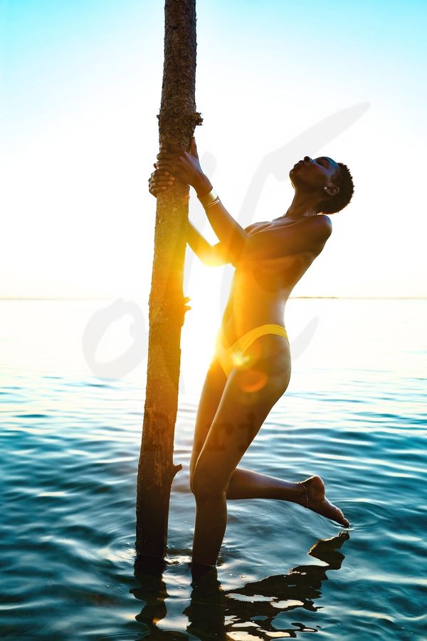 Portfolio Image